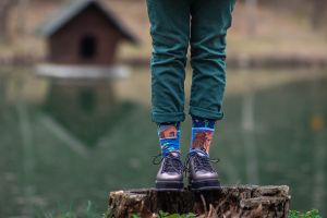 Arty Socks чорапи Влюбени Капибари - Тъмносин