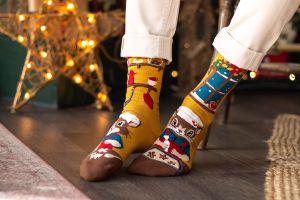 Arty Socks чорапи Коледна Приказка - Катерици