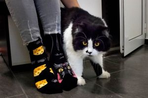 Arty Socks чорапи с Черна Котка