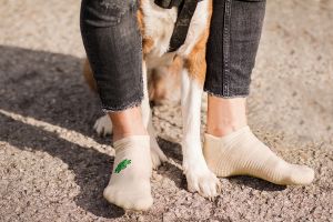 Къси Памучни чорапи Active Day с Детелинка и Калинка – мъжки
