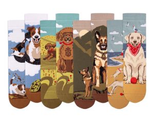 Кутия с 4 чифта чорапи Arty Socks Кучета v2
