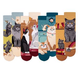 Кутия с 4 чифта чорапи Arty Socks Котки v2