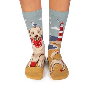 Arty Socks чорапи с Голдън Ретривър
