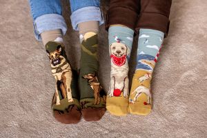 Arty Socks чорапи с Голдън Ретривър
