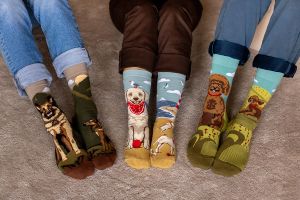 Arty Socks чорапи с Голдън Ретривър