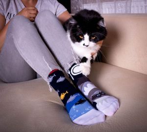 Arty Socks чорапи с Хималайска Котка