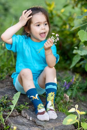 Arty Socks чорапи с Динозавър