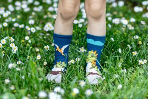 Arty Socks чорапи с Динозавър