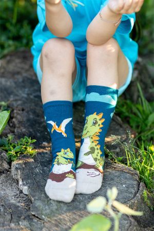 Arty Socks чорапи с Динозавър