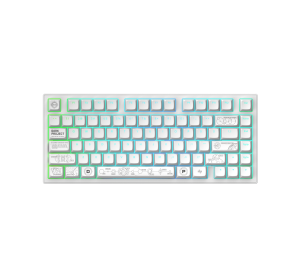 Gaming Wireless Mechanical Keyboard Dark Project ALU81A Terra Nova White RGB