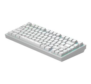 Gaming Wireless Mechanical Keyboard Dark Project ALU81A Terra Nova White RGB