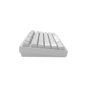 Gaming Wireless Mechanical Keyboard Dark Project ALU81A Terra Nova White RGB