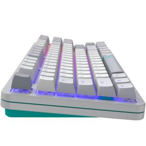 Gaming Mechanical Keyboard Dark Project ALU87 Daylight RGB