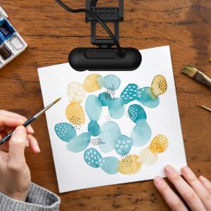 j5create HD Webcam with Auto & Manual Focus Switch