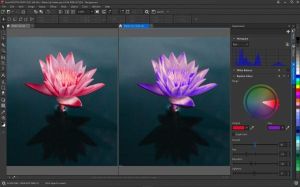 Софтуер CorelDRAW Graphics Suite Enterprise License (incl. 1 Yr CorelSure Maintenance)(1-10)